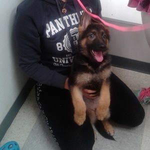 Meet your Posher, Brianna